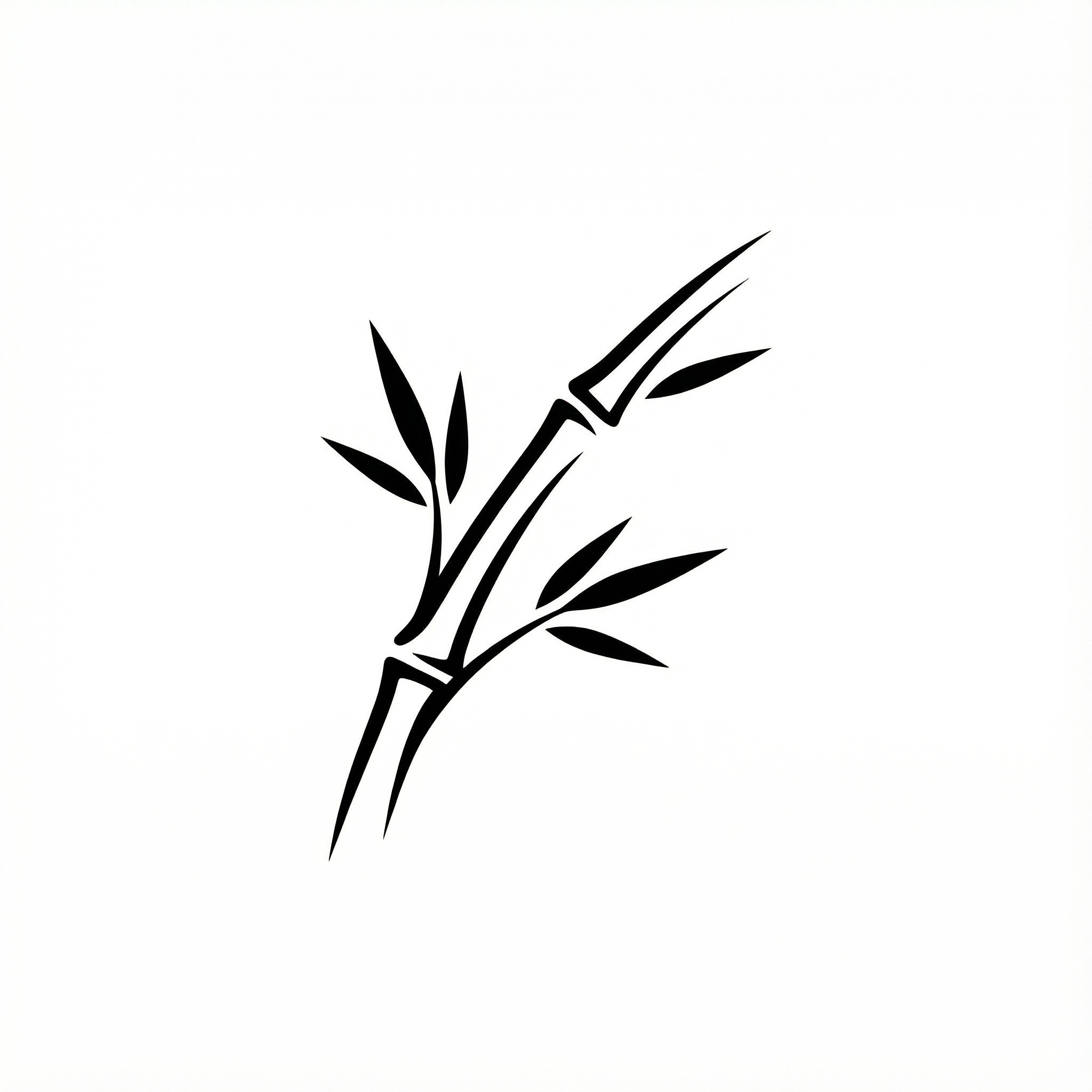 Intermediate (Hako-2)